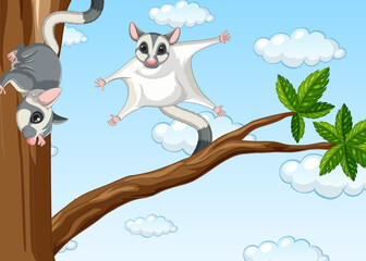 Two sugar gliders on the tree