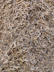 anchovies in one container