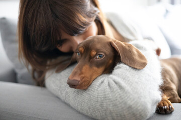 Girl petting a small Dachshund dog on the sofa at home.