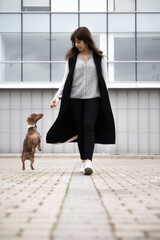 Girl walking down the street small Dachshund dog