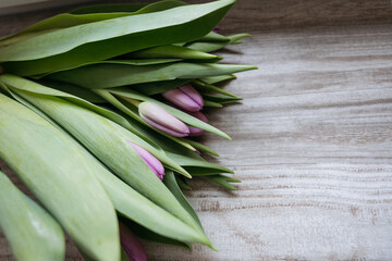 bunch of tulips laying on a wooden board 