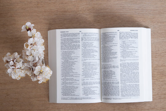 Open Holy Bible on table top view with blooming spring branch. Variative focus