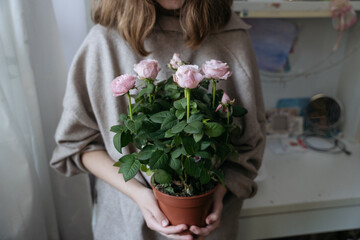Medium plan of a young woman holding a flower pot with pink rose bush