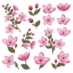 Cute spring cherry blossom vector isolated illustration set