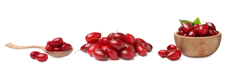 Set of ripe red dogwood berries on white background, banner design