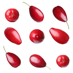 Set of ripe red dogwood berries on white background