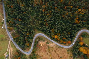 Aerial view of beautiful forest and road on autumn day