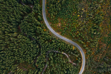Aerial view of beautiful forest and empty road on autumn day