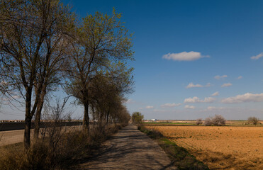 Landscape of country road with trees along with highway. Castilla La Mancha, Spain