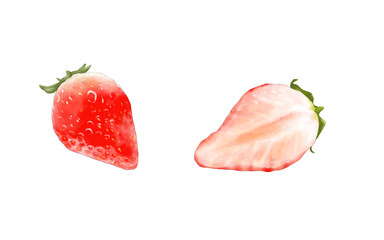 手描き水彩のみずみずしい苺と苺の断面