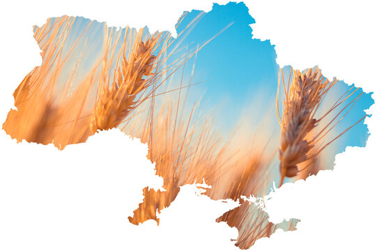 Conceptual image of Ukraine's map, global food crisis caused by Russia's invasion