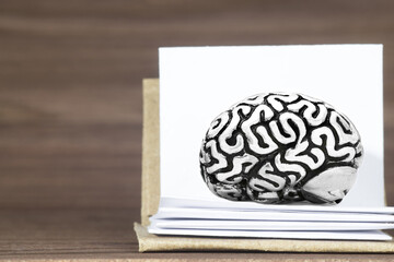 Human brain model inside an open book