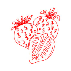 Strawberry freehand drawings, delicious ripe berries, vector image, retro style