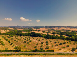 Fototapeta premium Aerial view of field with trees in Grosseto, Tuscany, Italy