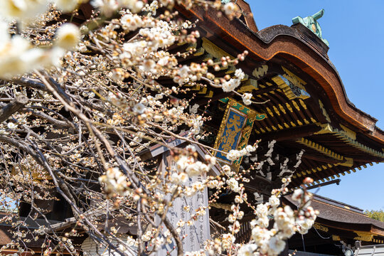 菅原道真 の画像 1 369 件の Stock 写真 ベクターおよびビデオ Adobe Stock 菅原道真 の画像 1 369 件の Stock 写真 ベクターおよびビデオ Adobe Stock