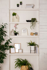 Wall shelves with beautiful decor elements and houseplants indoors. Interior design