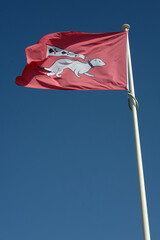 Drapeau de la ville de Vannes avec une hermine sur fond rouge