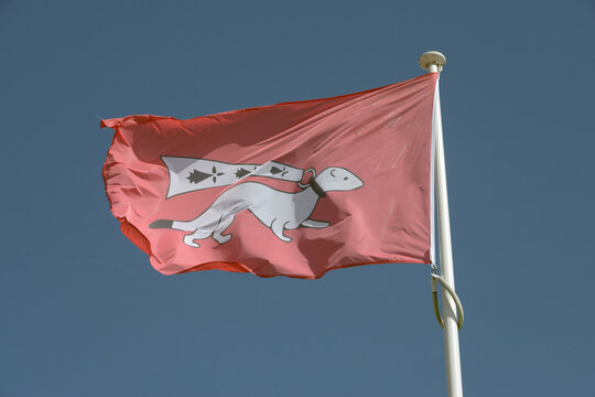 Drapeau de la ville de Vannes avec une hermine sur fond rouge