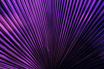 purple palm leaf texture background
