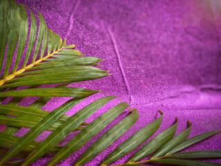 Lent Season,Holy Week and Good Friday concepts - palm leaves in purple vintage background. Stock...