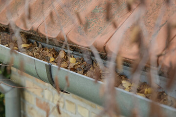 Gutter full of old autumn leaves and dirt.
