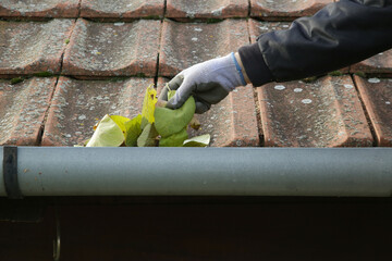 Cleaning the gutter from autumn leaves before winter season. Roof gutter cleaning process.	