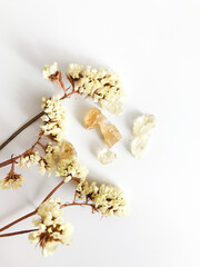 Set of natural resins and twigs of dried lemon statice , frankincense close-up on white background - obrazy, fototapety, plakaty