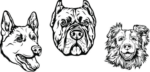 Hand drawn face of dogs. Black and white vector illustration mascot art
