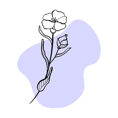 Hand drawn floral, botanical element on colour background shape for design. Instagram story icons