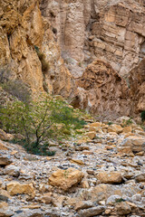 Rocky gorge of the Wadi Karak near the Dead Sea, Moab Plateau, Jordan.
