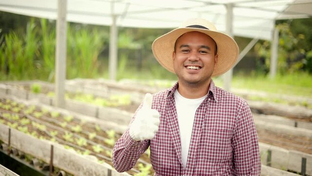 Happy agriculture thump up to the camera with sunlight. Smart farmer standing proud of their produce in vegetable gardens after harvest. Healthy food.