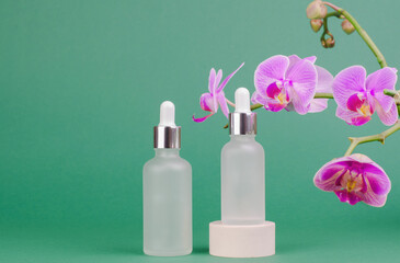 Obraz na płótnie Canvas Glass dropper bottles with a pipette with a white rubber tip on a green background. Cosmetic bottle on a pedestal. nature skin concept. Organic Spa Cosmetics.