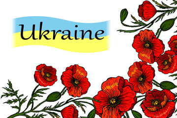 Ukraine for peace concept. Yellow-blue flag and Red flowers poppies symbol of the Ukraine. Vector illustration. Save Ukraine. Stop war