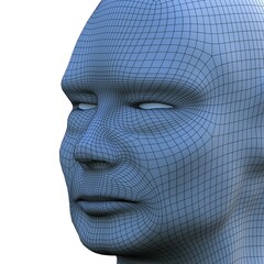 3d human head