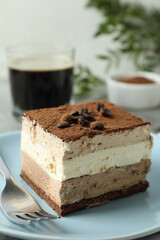 Concept of tasty dessert with Tiramisu cake, close up