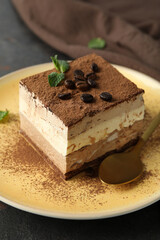 Concept of tasty dessert with Tiramisu cake, close up