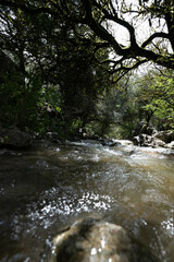 Fototapeta premium Rio con puene romano