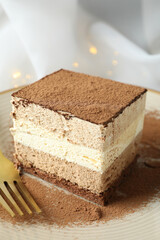 Concept of tasty dessert with Tiramisu cake, close up