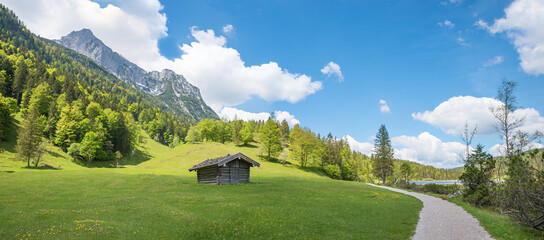 walkway along lake Ferchensee, green pasture with buttercup, at springtime, idyllic landscape near Mittenwald