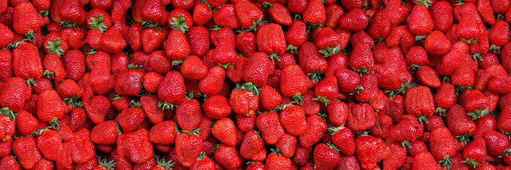 Ripe of strawberry on local farmer market. Fresh organic strawberries macro. Red strawberry background, top view, horizontal, banner.