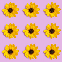Seamless pattern with yellow flower on purple background. Holiday background.