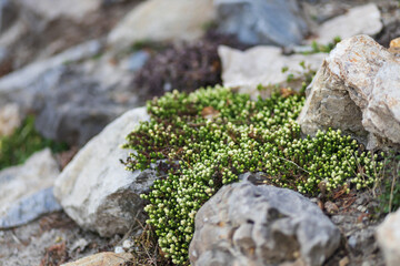 texture background rocks stone beach