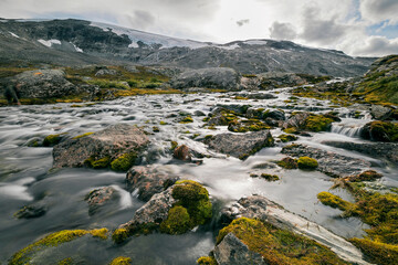 landscape at summertime with stream and green background in norway