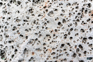 texture of porous stones on the beach, nature, natural phenomena, brown gray stones