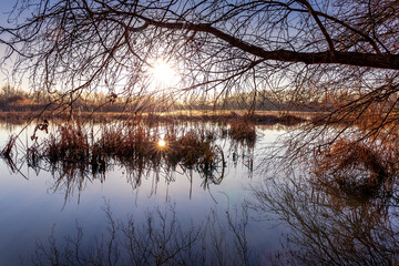 Obraz premium El sol en la laguna del Soto. Rivas Vaciamadrid. Madrid. España.