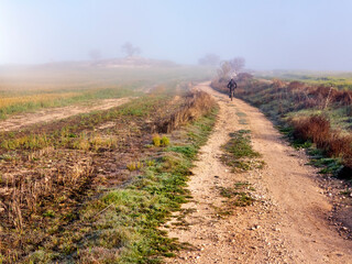Ciclista en el camino de Valdeciervos con niebla en invierno. Pinto. Madrid. España.