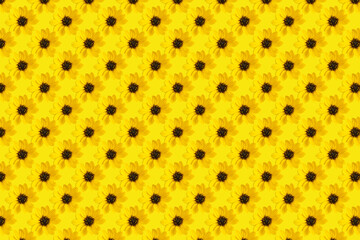 Seamless pattern with yellow flower on yellow background.
