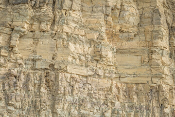 Silurian limestone cut of a rock at a quarry.