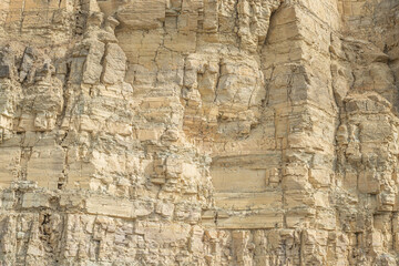 Silurian limestone cut of a rock at a quarry.