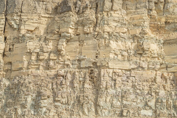 Silurian limestone cut of a rock at a quarry.